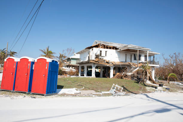 Davison, MI Tree Removal Company